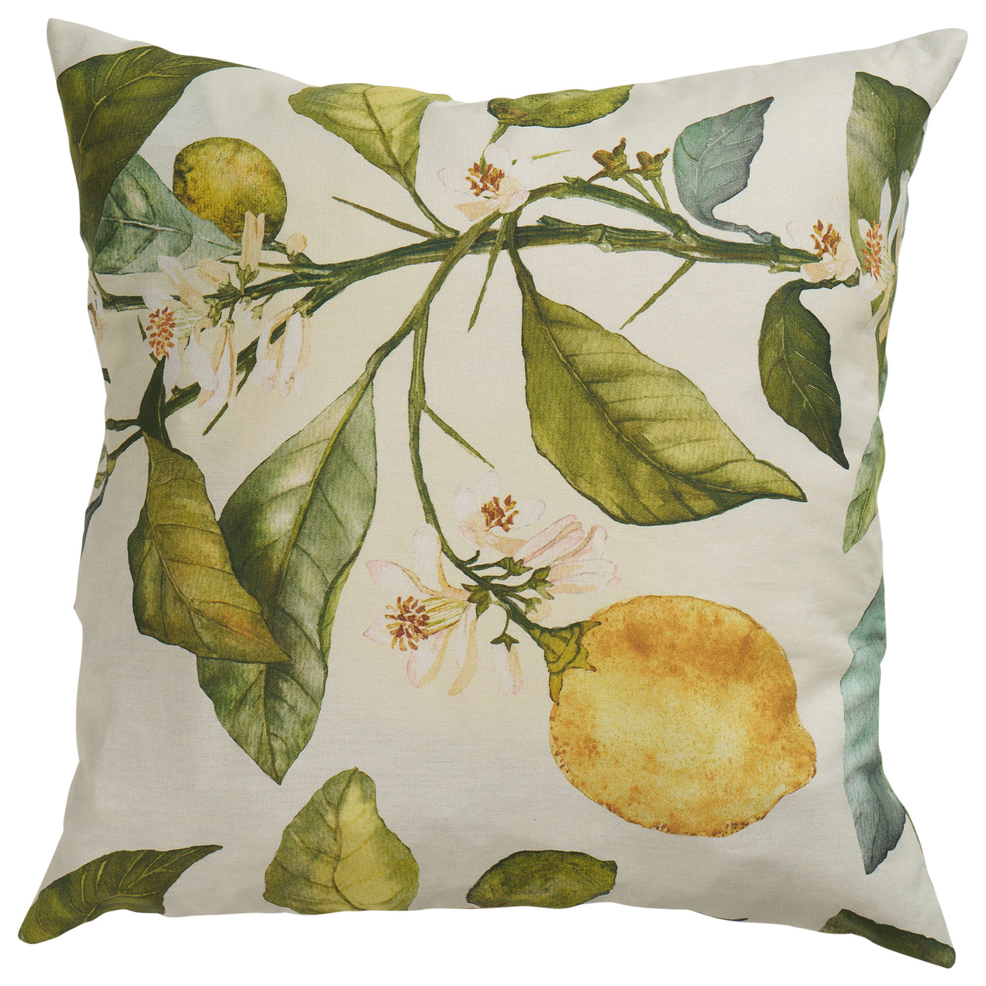 Citrus 45x45cm Cotton Cushion Cover