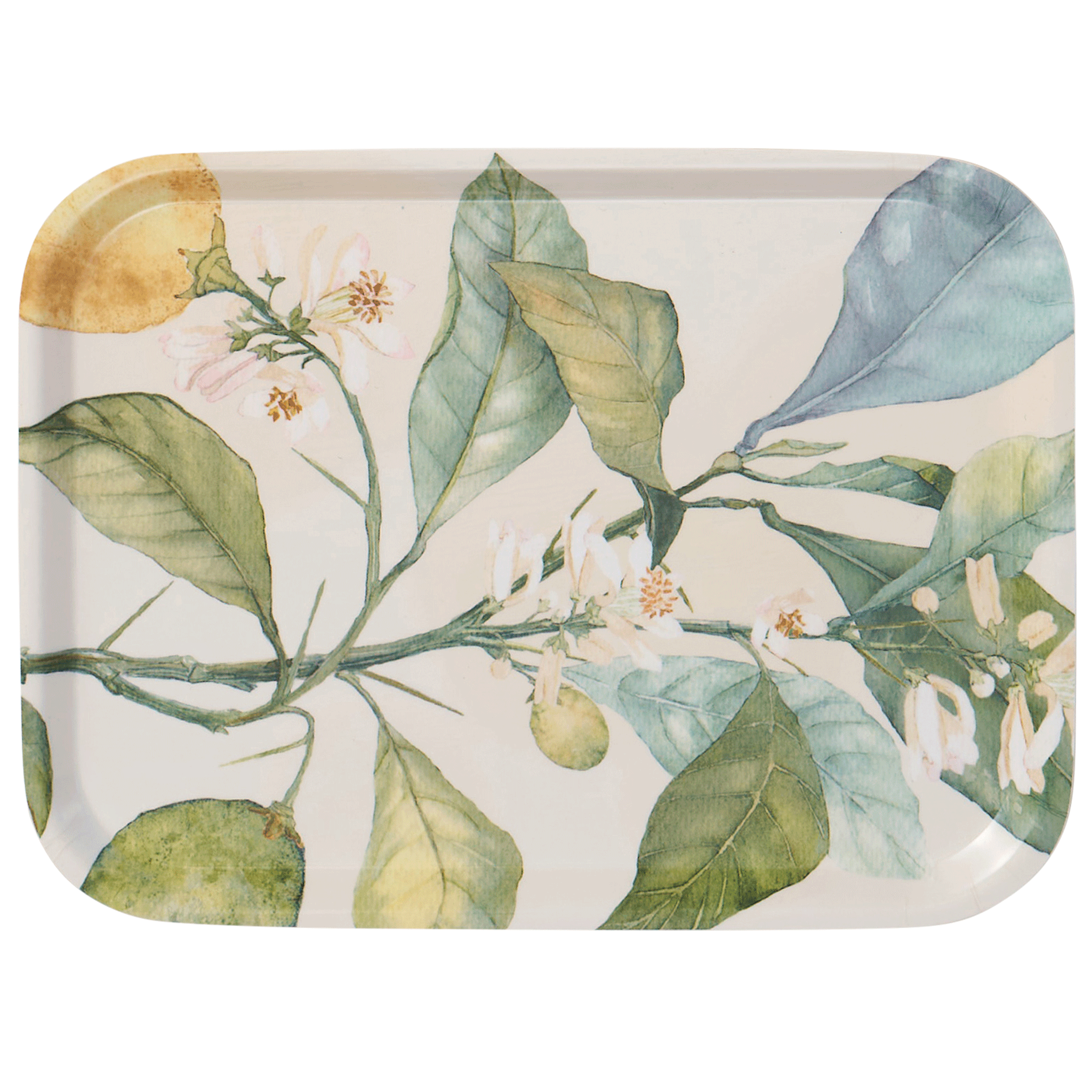 Citrus Small Tray