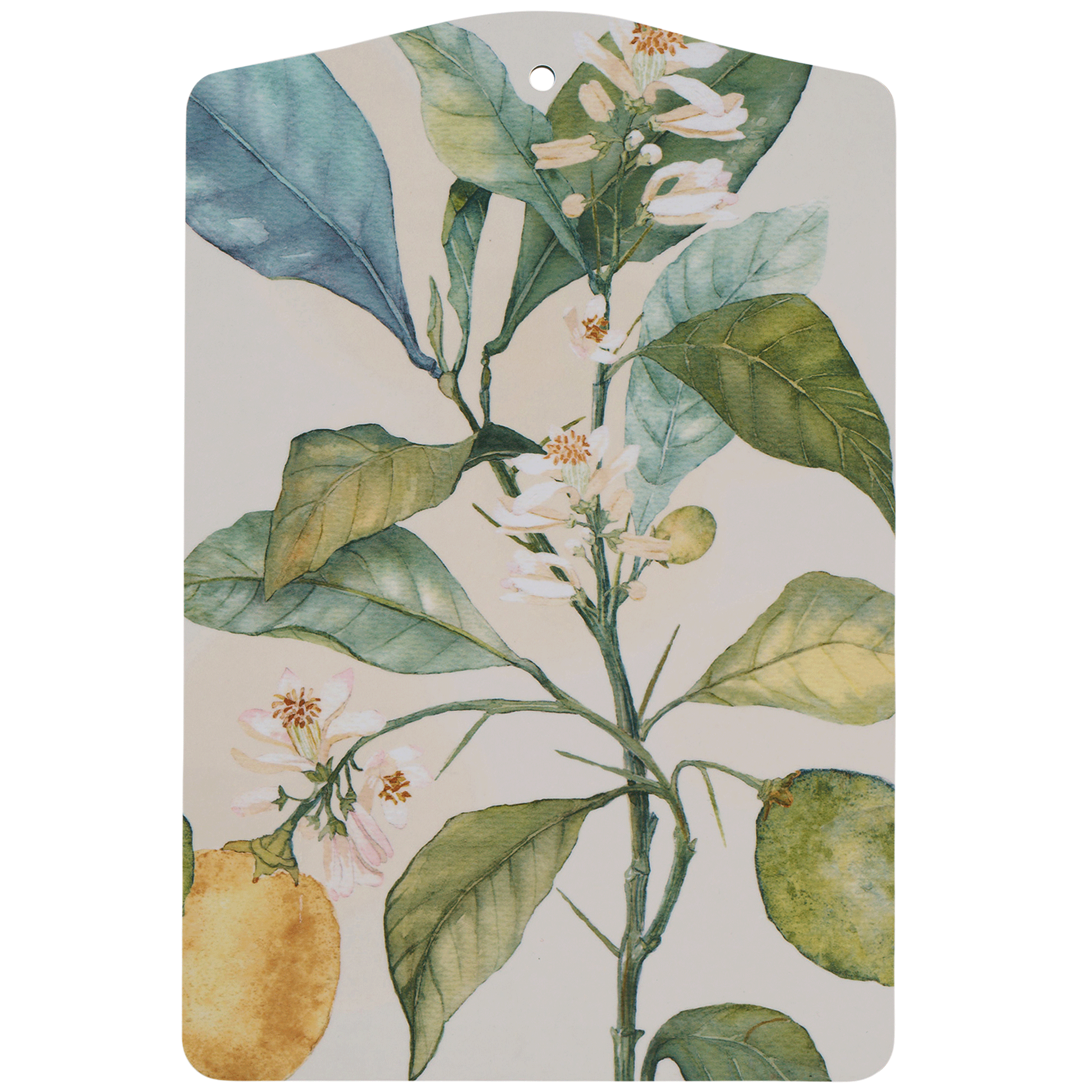 Citrus Cutting Board