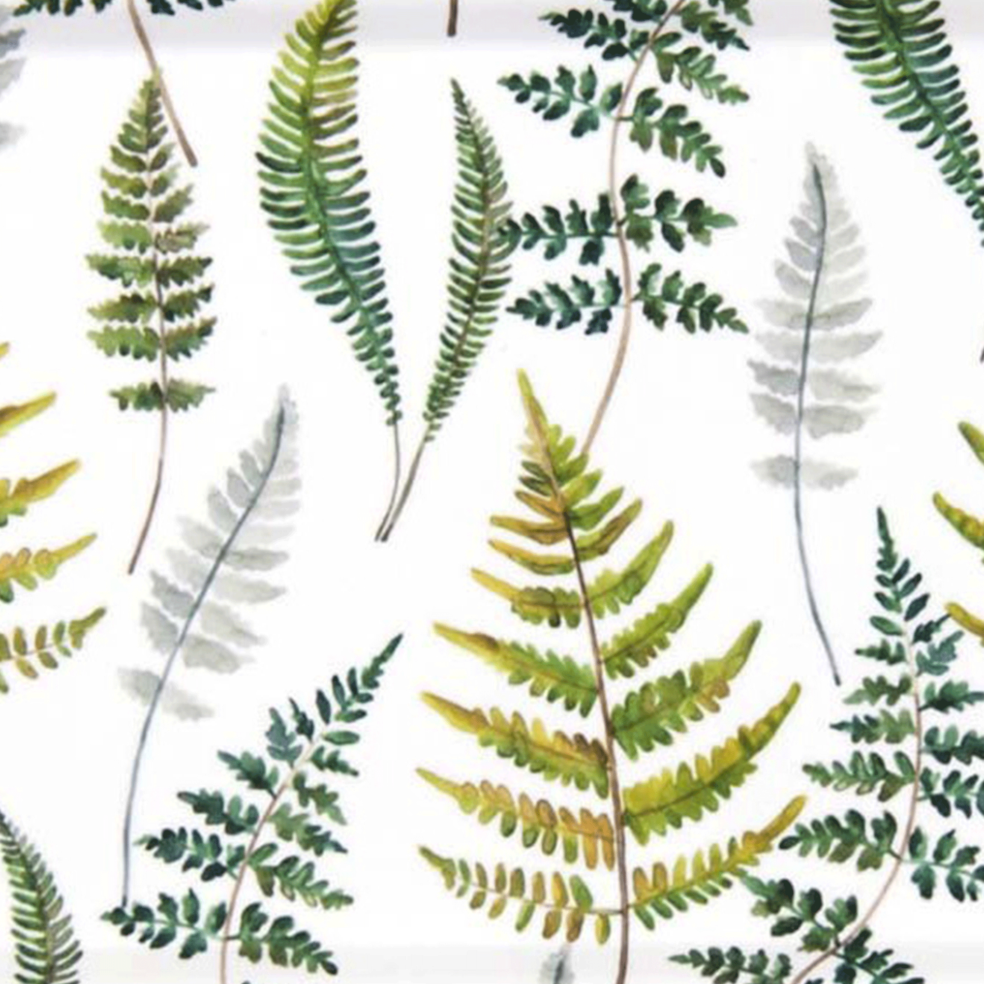 Fraken 20cm x 27cm Tray