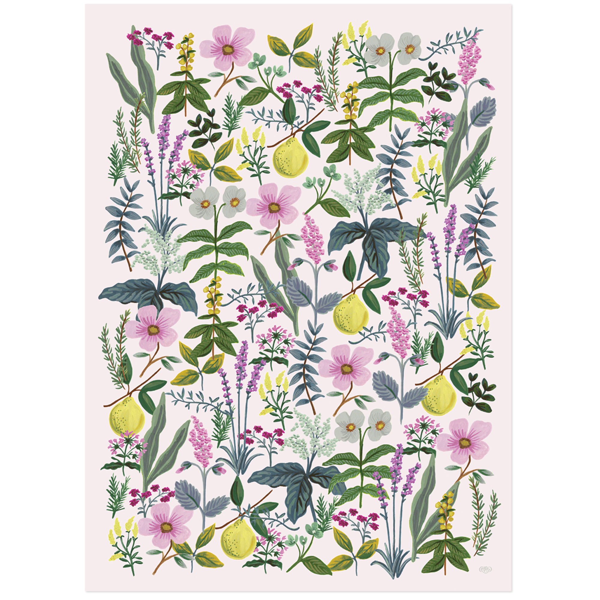 Herb Garden Gift Wrap