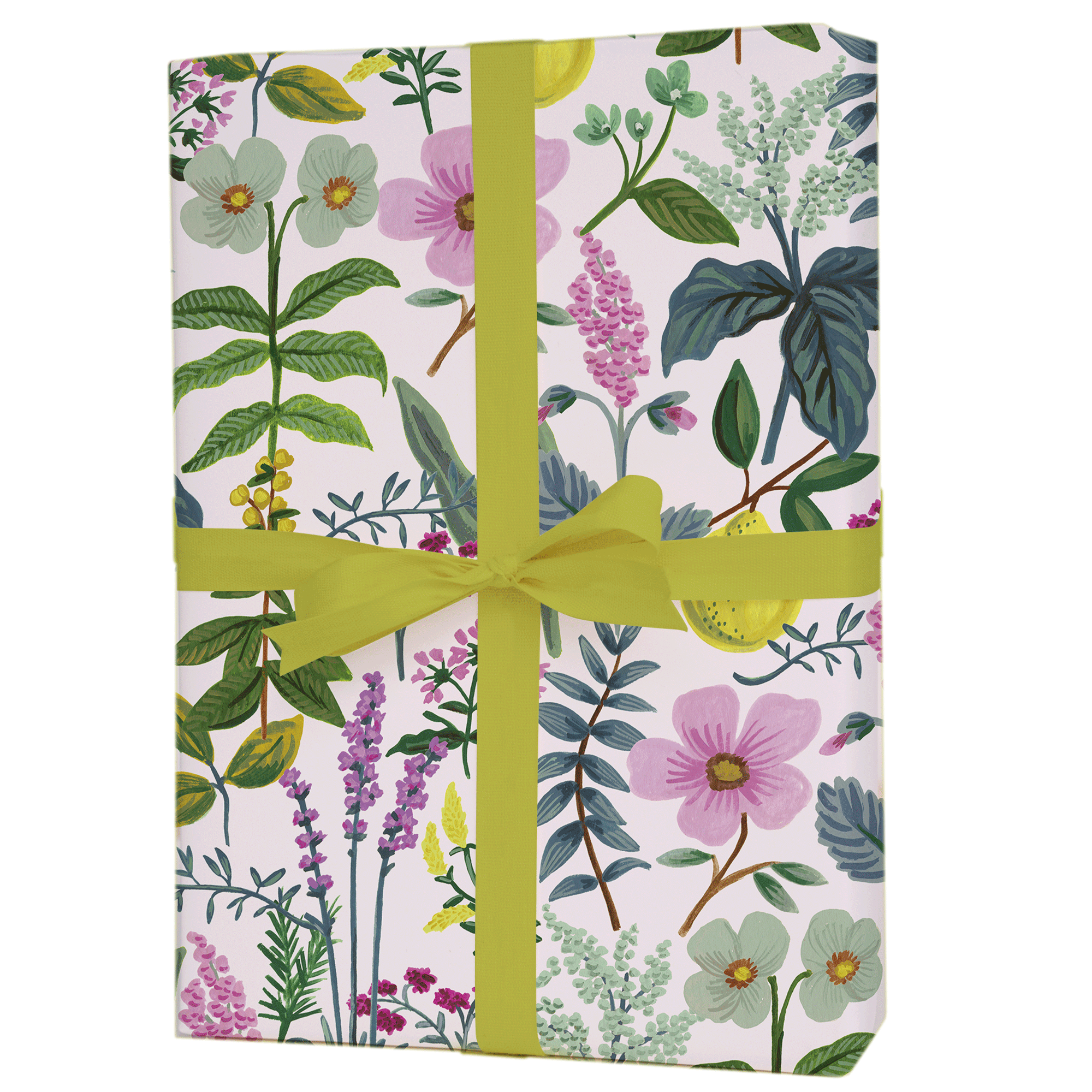 Herb Garden Gift Wrap