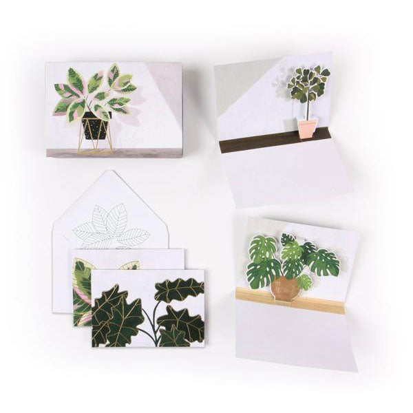 Potted Plants Boxed Notes
