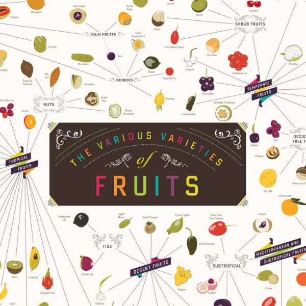 The Various Varieties of Fruit - Northlight Homestore