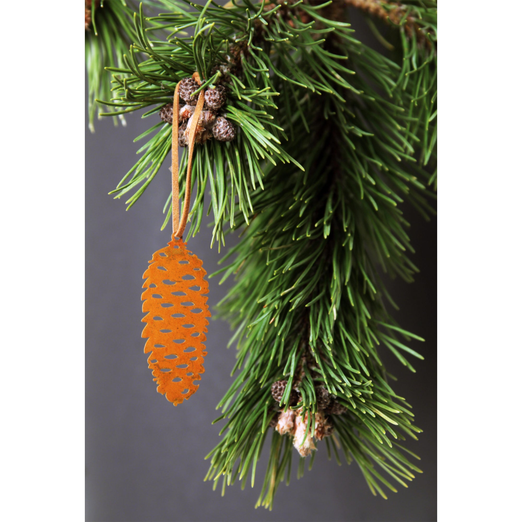 Rustic Pine Cone Decoration