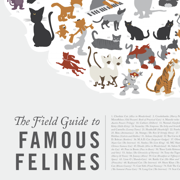 The Field Guides to Famous Felines - Northlight Homestore