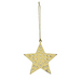 Star Gold Decoration - Northlight Homestore